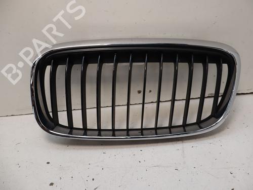 Used Grille Grille 39219281 39219281