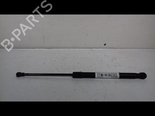 Used Hood lift support VW CADDY III MPV (2KB, 2KJ, 2CB, 2CJ) 1.9 TDI (105 hp) 14893024