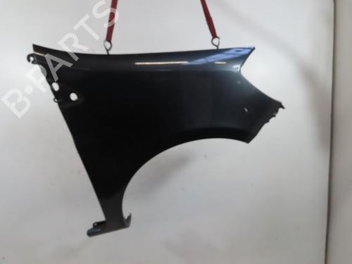 Right front fenders RENAULT CLIO III (BR0/1, CR0/1) 1.5 dCi (BR0H, CR0H, CR1S, BR1S) | BP26335695C42 