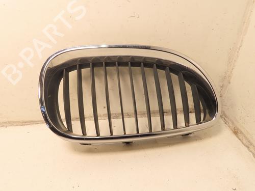 Grill BMW 5 (E60) 530 d (218 hp) 30979637