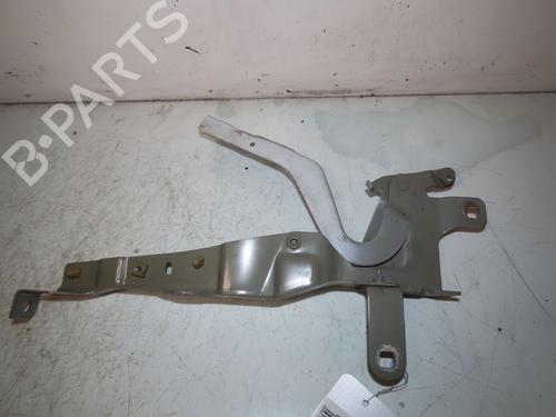 Hinge/Door check strap RENAULT CLIO IV (BH_) 1.5 dCi 90 | BP22213837C146 