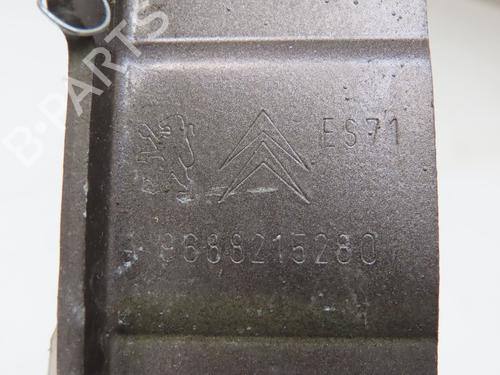 hingedoor-check-strap-citroen-c5-iii-rd_-2008-2009-2010-2011-2012-2013-2014-2015-2016-2017-25750509 main image