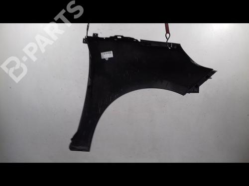 Left front fenders RENAULT SCÉNIC III (JZ0/1_) 1.9 dCi (JZ0J, JZ1J, JZ1K, JZ1S) | BP11996286C41 