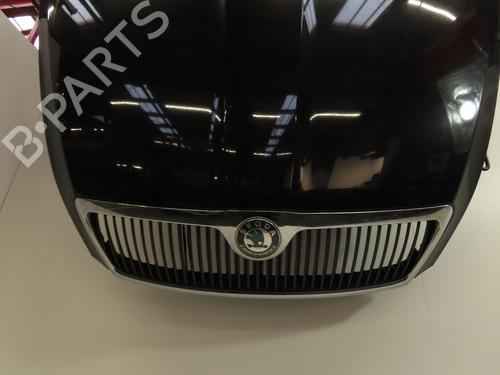 Hood SKODA OCTAVIA II Combi (1Z5) 1.9 TDI 4x4 | BP30333213C1
