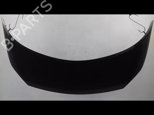 hood-renault-scenic-ii-jm01_-15-dci-jm1e-jm16-651001097r-2003-2004-2005-2006-2007-2008-2009-2010-8997322 main image