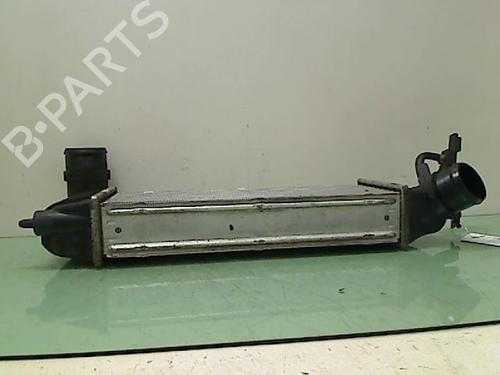 Andre PEUGEOT 807 (EB_) | BP23148822O1