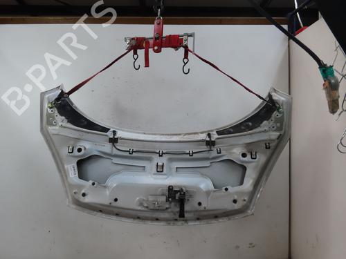 Used Hood RENAULT SCÉNIC III (JZ0/1_) 1.5 dCi (110 hp) 25376301