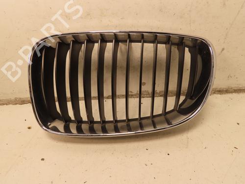 Grille BMW 1 (E87) 118 d | BP31155224C40