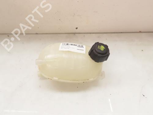 expansion-tank-renault-clio-v-b7_-10-sce-75-b7m5-217108864r-2019-20385491 main image