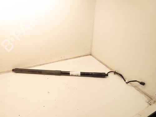 Used Tailgate lift support FORD C-MAX II (DXA/CB7, DXA/CEU) 1.0 EcoBoost (125 hp) 30692204