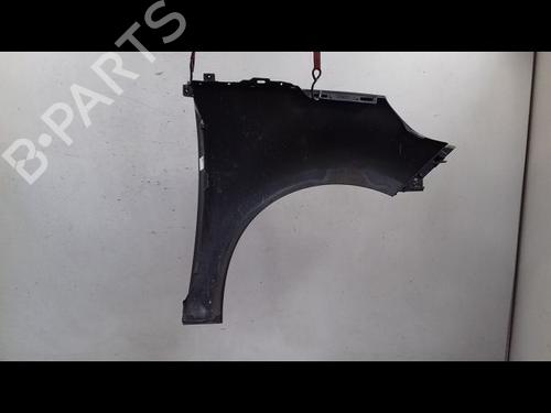 Left front fenders RENAULT GRAND SCÉNIC III (JZ0/1_) 1.9 dCi (JZ0J, JZ0N, JZ1K, JZ1S) | BP12262835C41 