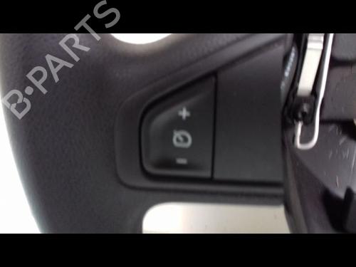 Used Steering wheel RENAULT SCÉNIC III (JZ0/1_) 1.2 TCe (116 hp) 9160610