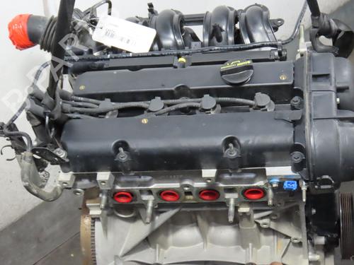 Used Engine FORD FIESTA VI (CB1, CCN) 1.25 (82 hp) 16203460
