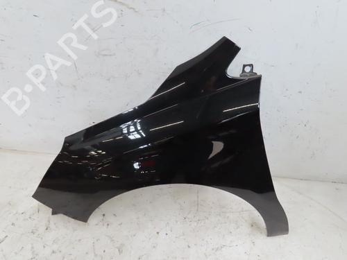 Left front fenders CITROËN C4 II (NC_) 1.6 BlueHDi 120 | BP29217074C41 