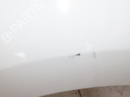 Used Right front fenders PEUGEOT 207 CC (WD_) 1.6 HDi (109 hp) 29621635