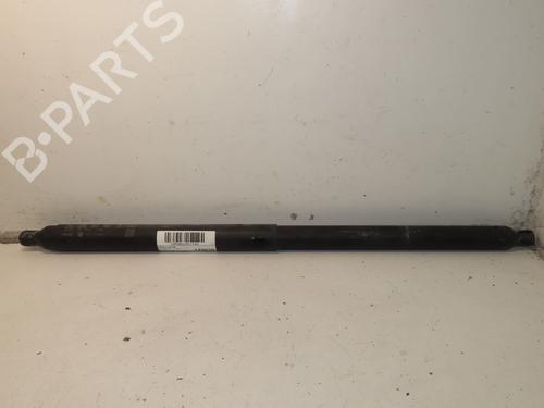 Gasdæmper bagklap VW TIGUAN (AD1, AX1) 2.0 TDI (150 hp) 31325208