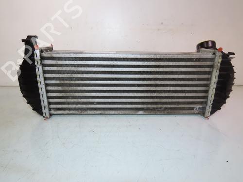 Used Other RENAULT KANGOO / GRAND KANGOO II (KW0/1_) 1.5 dCi 90 (KW05, KW08, KW0G, KW11) (90 hp) 30950498