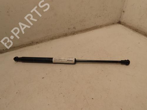 tailgate-lift-support-renault-twingo-ii-cn0_-2007-29016431 main image