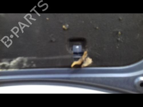 Hood RENAULT CLIO III (BR0/1, CR0/1) 1.5 dCi | BP12551639C1 
