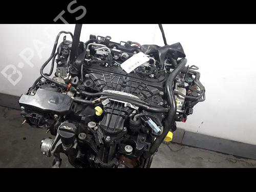 Motor FORD C-MAX II (DXA/CB7, DXA/CEU) 2.0 TDCi (115 hp) 14955392