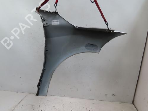 Used Left front fenders RENAULT MEGANE III Hatchback (BZ0/1_, B3_) 1.2 TCe (BZ16, BZ28) (132 hp) 25040697
