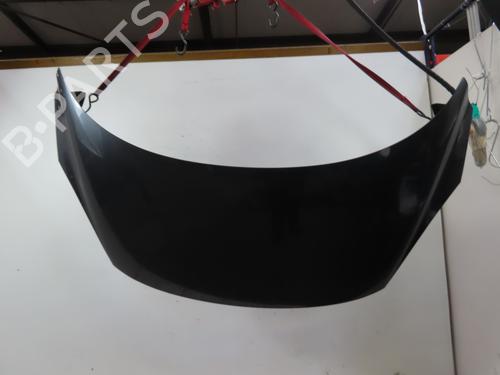 Used Hood RENAULT SCÉNIC III (JZ0/1_) 1.6 dCi (JZ00, JZ12) (130 hp) 24832606