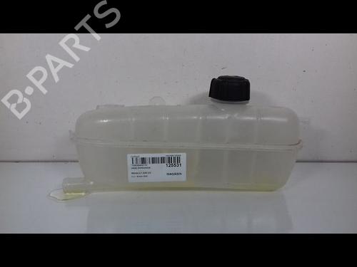 expansion-tank-renault-zoe-bfm_-zoe-bfmc-bfmd-217104337r-2012-9002434 main image