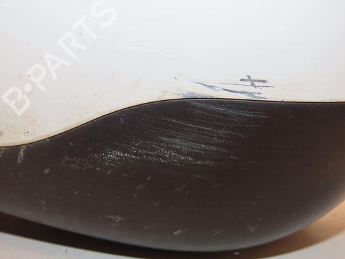 Left mirror RENAULT CLIO III (BR0/1, CR0/1) 1.5 dCi | BP29621649C26