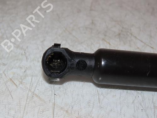 Used Tailgate lift support PEUGEOT 206+ (2L_, 2M_) 1.4 i (73 hp) 25299942