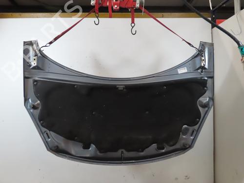 Hood PEUGEOT 307 (3A/C) 2.0 HDi 135 | BP24992470C1 