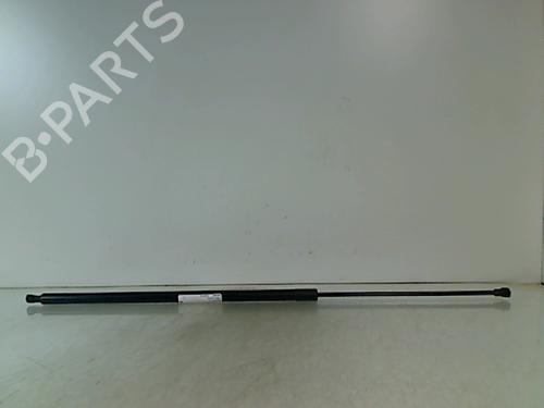 Used Tailgate lift support RENAULT KANGOO / GRAND KANGOO II (KW0/1_) 1.5 dCi 90 (KW05, KW08, KW0G, KW11) (90 hp) 23152835