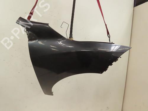 right-front-fenders-renault-megane-iii-hatchback-bz01_-b3_-2008-27373146 main image