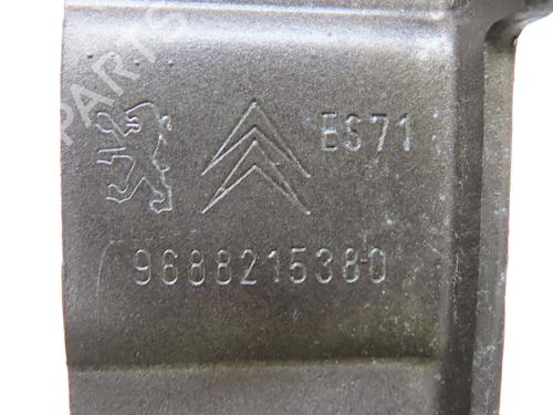 hingedoor-check-strap-citroen-c5-iii-rd_-2008-2009-2010-2011-2012-2013-2014-2015-2016-2017-25750512 main image