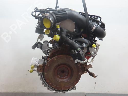 Engine FORD PUMA (J2K, CF7) 1.0 EcoBoost mHEV | BP25586408M1