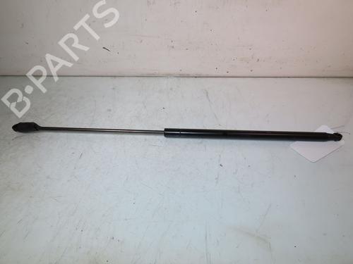 Used Tailgate lift support NISSAN JUKE (F15) 1.5 dCi (110 hp) 30954153