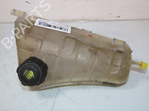Expansion tank RENAULT KANGOO / GRAND KANGOO II (KW0/1_) 1.5 dCi 85 (KW0K, KW0L, KW0B) | BP26310856C120 