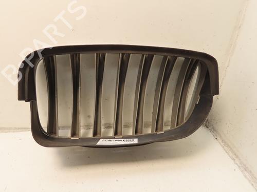 Używane Atrapa chłodnicy / Grill BMW X6 (E71, E72) xDrive 35 d (286 hp) 30501810