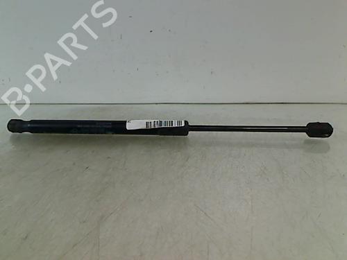 tailgate-lift-support-dacia-duster-hs_-2010-2011-2012-2013-2014-2015-2016-2017-2018-23152875 main image