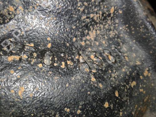 Rear differential MITSUBISHI OUTLANDER II (CW_W) 2.0 DI-D (CW8W) | BP8996182M24