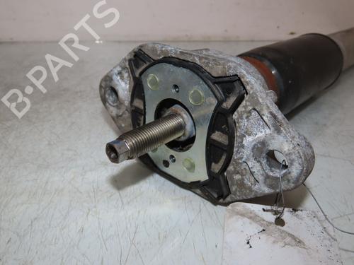 BP24832556M19 main image