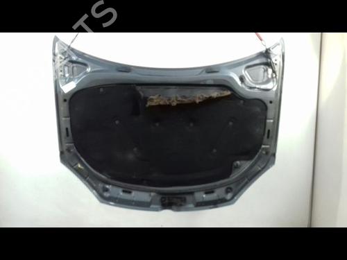 Capot Capot VW GOLF V (1K1) 1.9 TDI (105 hp) 10724290 10724290