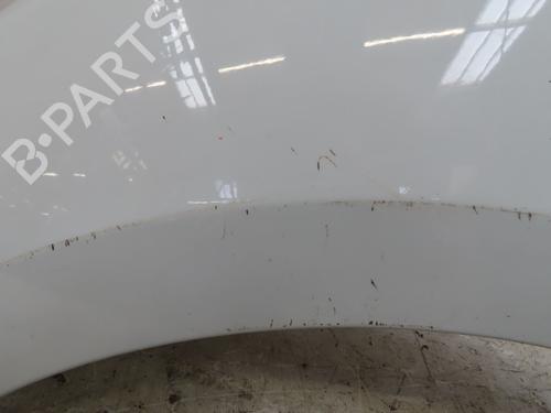 Used Left front fenders RENAULT MEGANE III Hatchback (BZ0/1_, B3_) 1.5 dCi (BZ1G, BZ1W, BZ0R) (95 hp) 29757942
