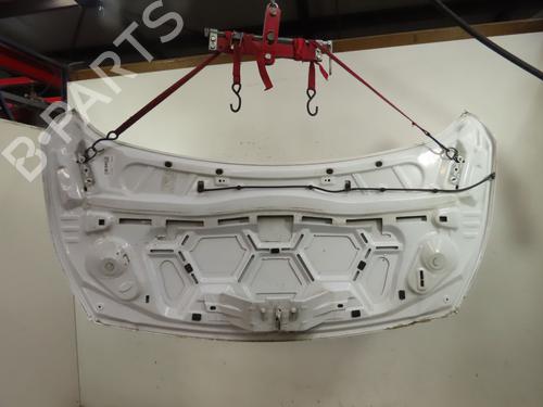Used Hood FORD TRANSIT CONNECT V408 Box Body/MPV 1.6 TDCi (95 hp) 26463091
