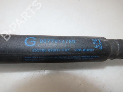 tailgate-lift-support-peugeot-508-sw-i-8e_-2010-2011-2012-2013-2014-2015-2016-2017-2018-25859387 main image