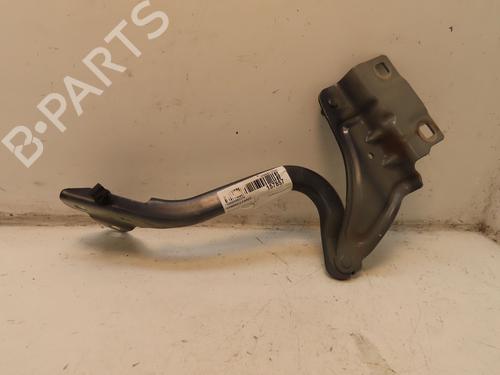 Hinge/Door check strap RENAULT MEGANE IV Hatchback (B9A/M/N_) 1.5 Blue dCi 115 (B9A6) | BP28309798C146 