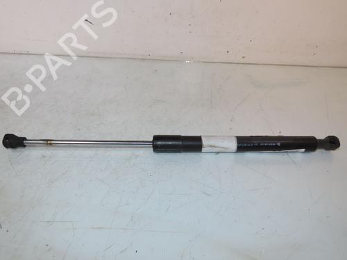 Hood lift support RENAULT CLIO IV (BH_) 0.9 TCe 90 (BHNF, BHMA, BHMH, BHJK, BHJR) | BP24157719C139 