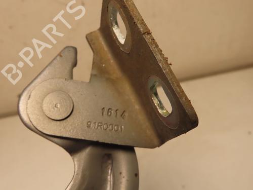 Used Hinge/Door check strap RENAULT KANGOO / GRAND KANGOO II (KW0/1_) 1.5 dCi 90 (KW05, KW08, KW0G, KW11) (90 hp) 24920232