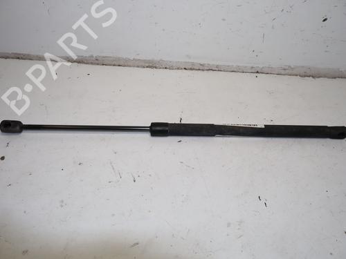 tailgate-lift-support-peugeot-307-sw-3h-2002-2003-2004-2005-2006-2007-2008-2009-36100482 main image