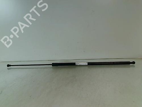 Used Tailgate lift support RENAULT KANGOO / GRAND KANGOO II (KW0/1_) 1.5 dCi 90 (KW05, KW08, KW0G, KW11) (90 hp) 23152881