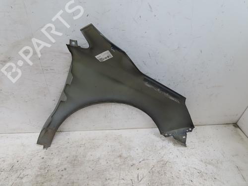 Left front fenders CITROËN C4 II (NC_) 1.2 THP 130 (NCHNYM, NCHNYT) | BP32277152C41